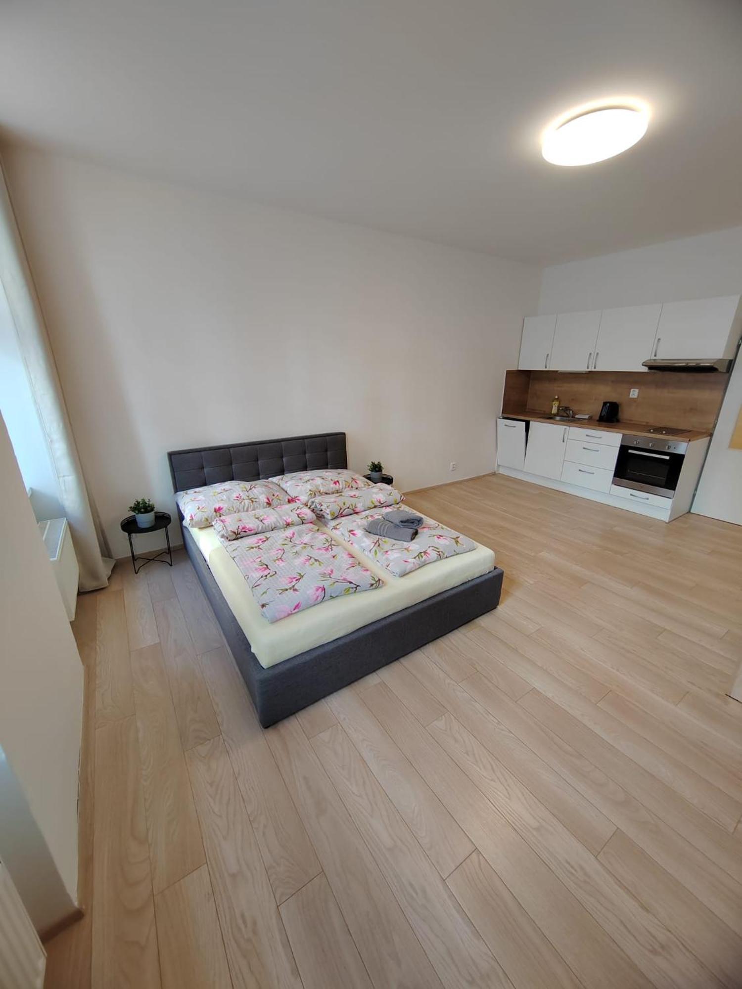 Apartia Vlhka 26, Brno-Center Eksteriør billede